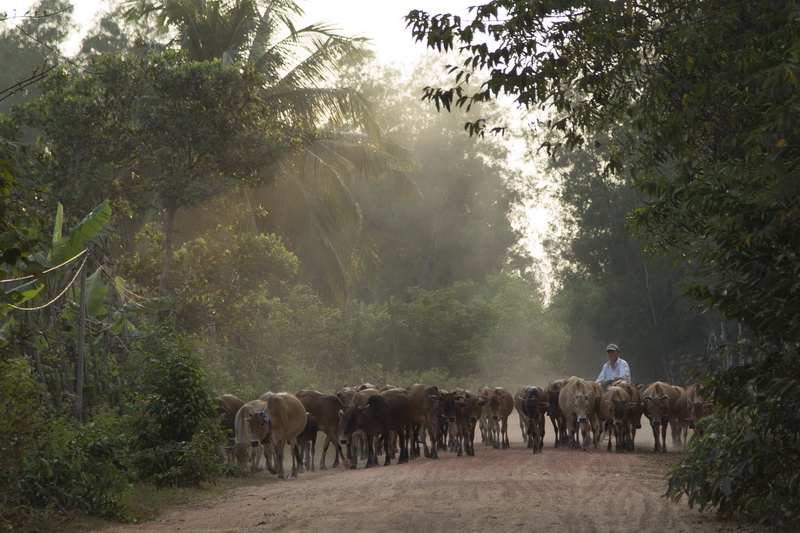 Life on Phu Quoc island